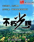 不朽光辉封面