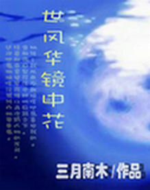 一世风华镜中花封面