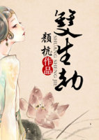 双生劫封面