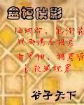 磐桓侠影封面