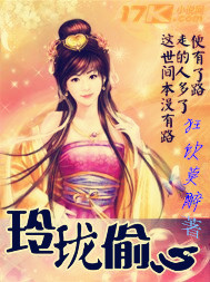 玲珑偷心封面