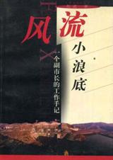 风流小浪底:一个副市长的工作手记封面