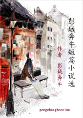 彭城奔牛短篇小说选封面