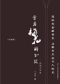 曾为梅花醉如泥封面