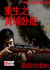 重生之黄埔卧底txt封面