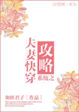 系统之夫妻快穿攻略封面