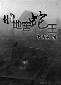 HP 地窖蛇王封面