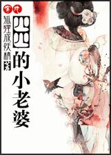 穿越四四的小老婆封面
