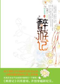 清朝醉游记封面