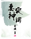 妻定神闲封面