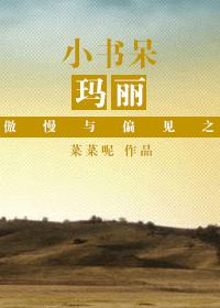 傲慢与偏见之小书呆玛丽封面