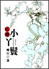 红楼小丫鬟(全本)封面