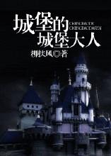 hp城堡的城堡大人封面