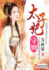 太子妃守则封面
