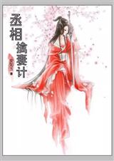丞相擒妻记封面