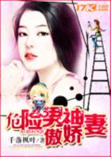 危险男神傲娇妻封面