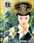独步清风封面