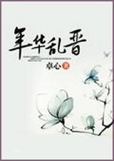 年华乱晋封面