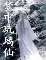 梦中琉璃仙封面