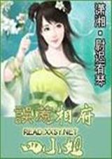 误惹相府四小姐 尉迟有琴封面