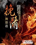 挽清txt封面