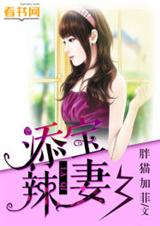 添宝辣妻封面