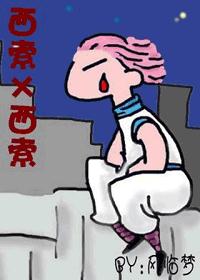 西索×西索封面
