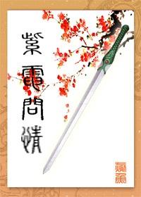 紫电问情封面