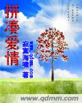 拼凑爱情封面
