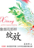 像烟花那样绽放封面