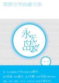 永无岛封面