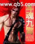 斗魂九霄封面