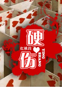 硬伤封面
