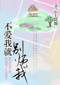 不爱我就别烦我封面