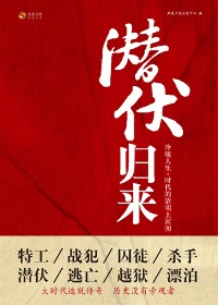潜伏归来封面