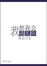 我想我会遇见你封面