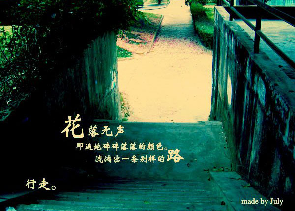 无声花落封面