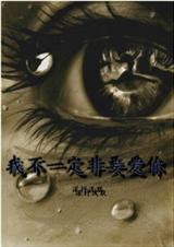 我不一定非要爱你封面