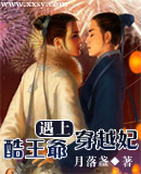 酷王爷遇上穿越妃封面