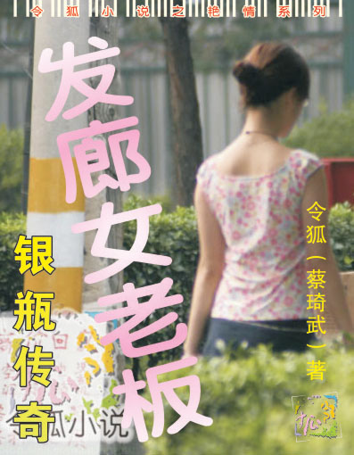 银瓶传奇:发廊女老板封面