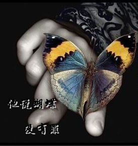 他说蝴蝶没有罪封面