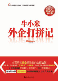 牛小米外企打拼记封面