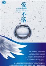 爱不落封面