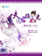 夫君猛如虎:腹黑王爷盗墓妃封面