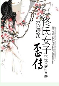 佟氏女子歪传封面