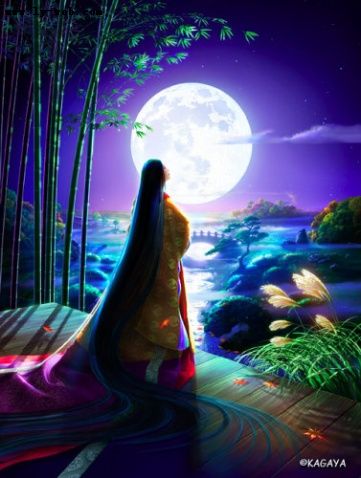 夜来清风封面