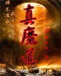 真魔道封面