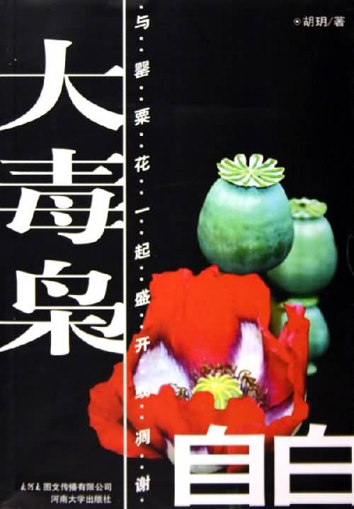 大毒枭自白封面