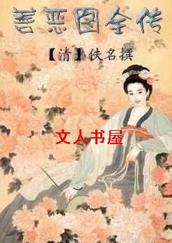 善恶图全传封面