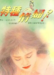 特种情妇封面